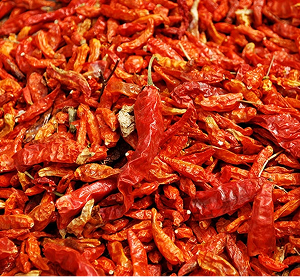 Hot Pepper (Derica)